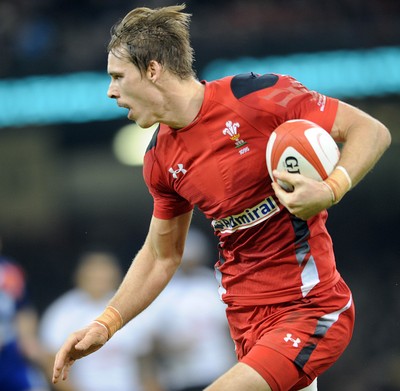 151114 - Wales v Fiji - Dove Men Series -Wales Liam Williams(c) Huw Evans Agency