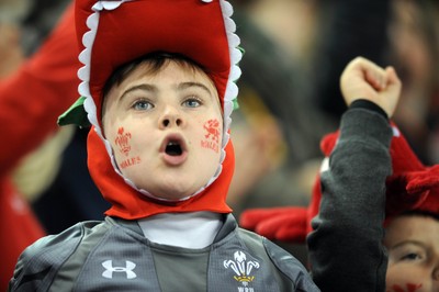 151114 - Wales v Fiji - Dove Men Series -Fans at the Millennium Stadium(c) Huw Evans Agency