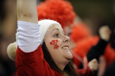 151114 - Wales v Fiji - Dove Men Series -Fans at the Millennium Stadium(c) Huw Evans Agency