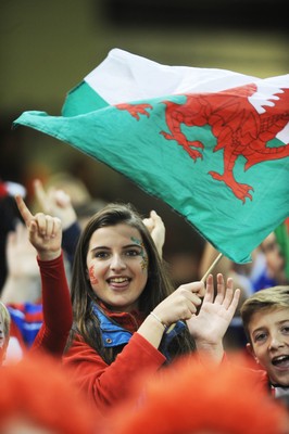 151114 - Wales v Fiji - Dove Men Series -Fans at the Millennium Stadium(c) Huw Evans Agency