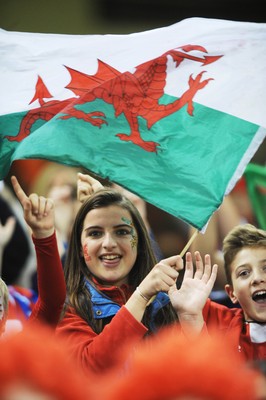 151114 - Wales v Fiji - Dove Men Series -Fans at the Millennium Stadium(c) Huw Evans Agency