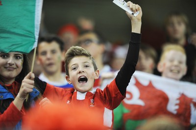 151114 - Wales v Fiji - Dove Men Series -Fans at the Millennium Stadium(c) Huw Evans Agency