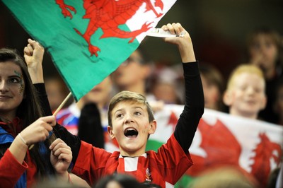 151114 - Wales v Fiji - Dove Men Series -Fans at the Millennium Stadium(c) Huw Evans Agency