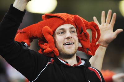 151114 - Wales v Fiji - Dove Men Series -Fans at the Millennium Stadium(c) Huw Evans Agency