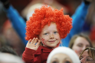 151114 - Wales v Fiji - Dove Men Series -Fans at the Millennium Stadium(c) Huw Evans Agency