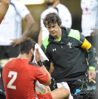 151114 - Wales v Fiji - Dove Men Series -Wales physio Mark Davies(c) Huw Evans Agency