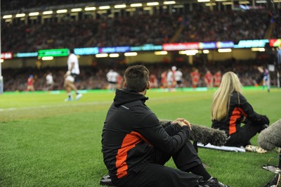 151114 - Wales v Fiji - Dove Men Series -Pitch stewards watching the game(c) Huw Evans Agency