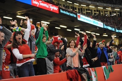 151114 - Wales v Fiji - Dove Men Series -Advertising at the Millennium Stadium(c) Huw Evans Agency