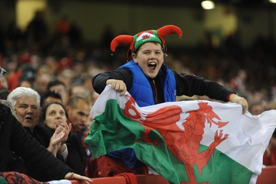 151114 - Wales v Fiji - Dove Men Series -Fans at the Millennium Stadium(c) Huw Evans Agency