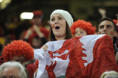 151114 - Wales v Fiji - Dove Men Series -Fans at the Millennium Stadium(c) Huw Evans Agency