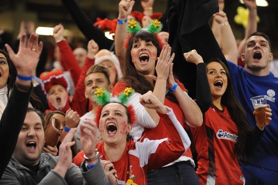 151114 - Wales v Fiji - Dove Men Series -Fans at the Millennium Stadium(c) Huw Evans Agency