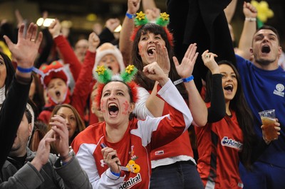 151114 - Wales v Fiji - Dove Men Series -Fans at the Millennium Stadium(c) Huw Evans Agency