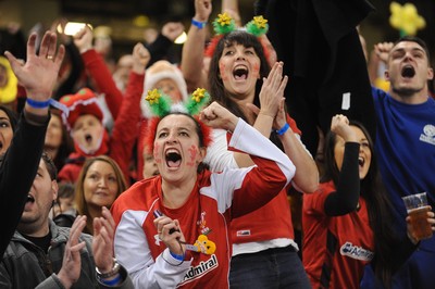 151114 - Wales v Fiji - Dove Men Series -Fans at the Millennium Stadium(c) Huw Evans Agency