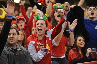 151114 - Wales v Fiji - Dove Men Series -Fans at the Millennium Stadium(c) Huw Evans Agency