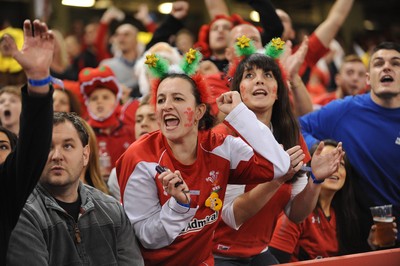 151114 - Wales v Fiji - Dove Men Series -Fans at the Millennium Stadium(c) Huw Evans Agency