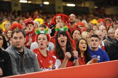 151114 - Wales v Fiji - Dove Men Series -Fans at the Millennium Stadium(c) Huw Evans Agency