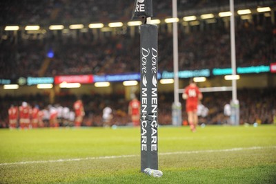 151114 - Wales v Fiji - Dove Men Series -Advertising at the Millennium Stadium(c) Huw Evans Agency