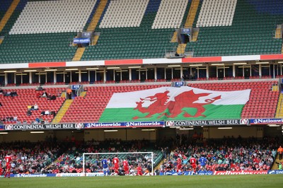 28.03.09 - Wales v Finland, FIFA World Cup 2010 Qualifying Group 4 -  Wales take on Finland in front of a sparse crowd at the Millennium Stadium 