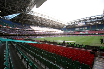 28.03.09 - Wales v Finland, FIFA World Cup 2010 Qualifying Group 4 -  Wales take on Finland in front of a sparse crowd at the Millennium Stadium 