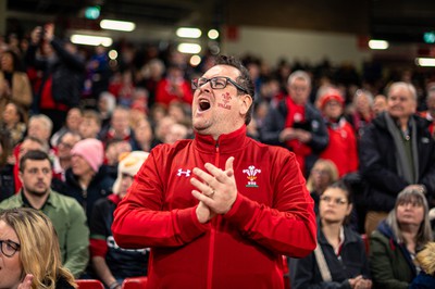 100324 - Wales v France - Guinness Six Nations - Fans during the game 