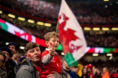 100324 - Wales v France - Guinness Six Nations - Fans during the game 