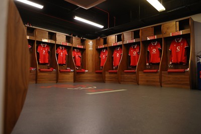 100324 - Wales v France - Guinness 6 Nations Championship - Wales dressing room before the game