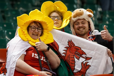 100324 - Wales v France - Guinness Six Nations - Wales fans before the match