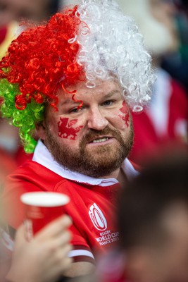 100324 - Wales v France - Guinness Six Nations - Fans