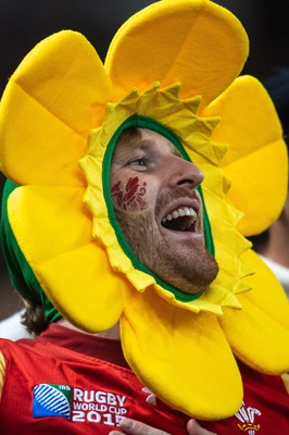 100324 - Wales v France - Guinness Six Nations - Fans