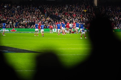 150226 - Wales v France - Guinness Six Nations - Fan’s view of the game 