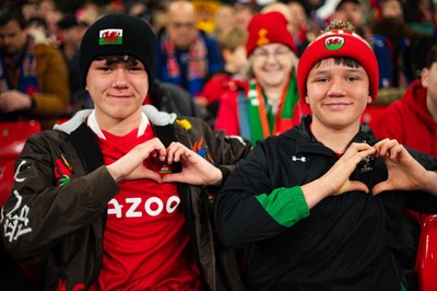 150226 - Wales v France - Fans during the game 