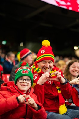 150226 - Wales v France - Fans during the game 