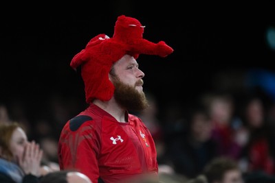150226 - Wales v France - Fans during the game 