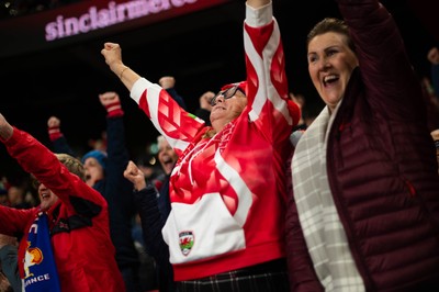 150226 - Wales v France - Guinness Six Nations - Fans during the game 