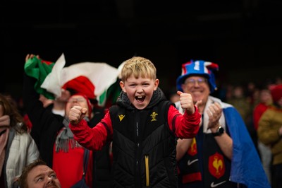 150226 - Wales v France - Guinness Six Nations - Fans during the game 