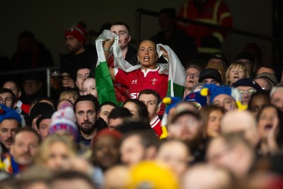 150226 - Wales v France - Fans during the game 