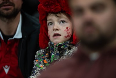 150226 - Wales v France - Fans during the game 