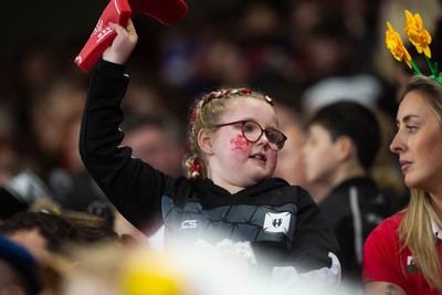 150226 - Wales v France - Guinness Six Nations - Fans during the game 