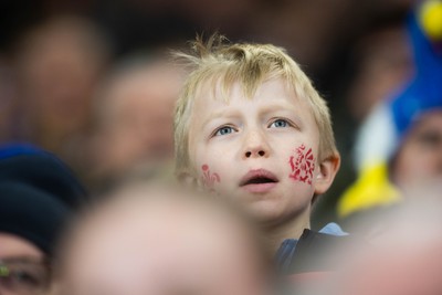 150226 - Wales v France - Guinness Six Nations - Fans during the game 