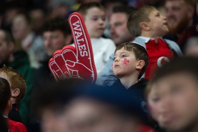 150226 - Wales v France - Guinness Six Nations - Fans during the game 