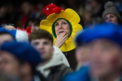 150226 - Wales v France - Guinness Six Nations - Fans during the game 