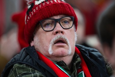 150226 - Wales v France - Guinness Six Nations - Fans during the game 