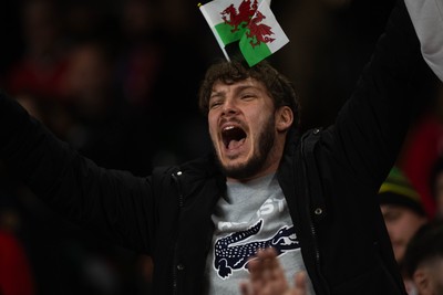 150226 - Wales v France - Guinness Six Nations - Fans during the game 