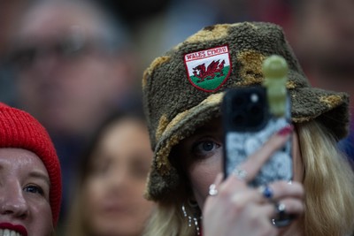 150226 - Wales v France - Guinness Six Nations - Fans during the game 