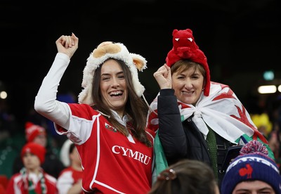 150226 - Wales v France - Guinness Six Nations Championship - Wales fans