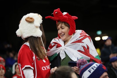 150226 - Wales v France - Guinness Six Nations Championship - Wales fans