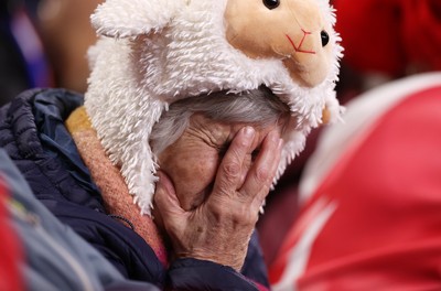 150226 - Wales v France - Guinness Six Nations Championship - Dejected Wales fans