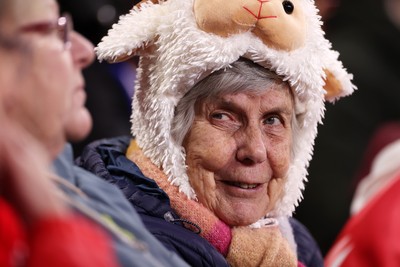 150226 - Wales v France - Guinness Six Nations Championship - Wales fans