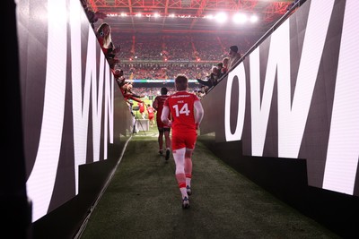 150226 - Wales v France - Guinness Six Nations Championship - Ellis Mee of Wales 