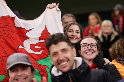 150226 - Wales v France - Guinness Six Nations Championship - Wales fans